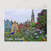 Blume in Cobh, Irland Postcard Postkarte (Vorderseite)
