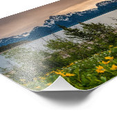 Blume in Colter Bay Fotodruck (Ecke)