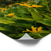 Blume in Colter Bay Poster (Ecke)