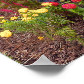 Blume in den Bok Tower Gardens FL Poster (Ecke)