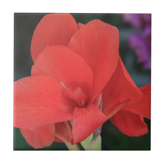 Blume in den Gärten der D. Carlos I Fliese (Vorderseite)