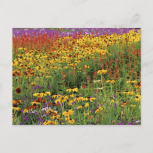 Blume in den internationalen Friedensgärten Postkarte