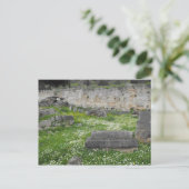 Blume in den Ruinen von Delphi Postkarte (Stehend Vorderseite)