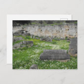 Blume in den Ruinen von Delphi Postkarte (Vorne/Hinten)
