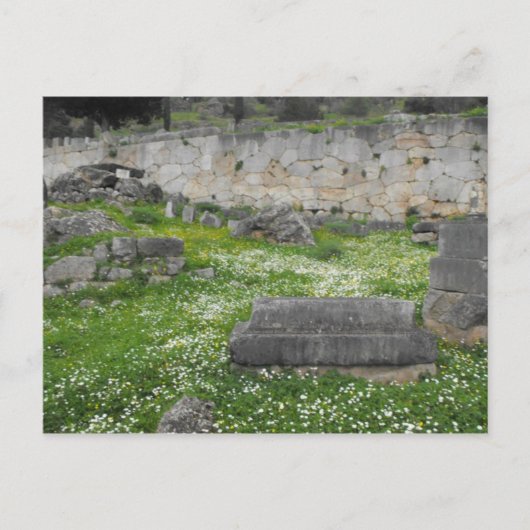 Blume in den Ruinen von Delphi Postkarte (Vorderseite)