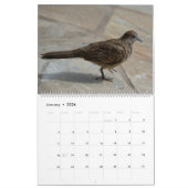 Blume in der Natur Kalender (Jan 2026)