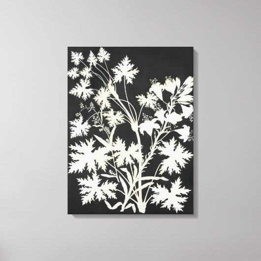 Blume in der Silhouette Leinwanddruck (Vorderseite)
