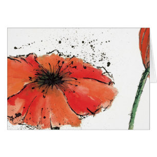 Blume in der vollen Blüte