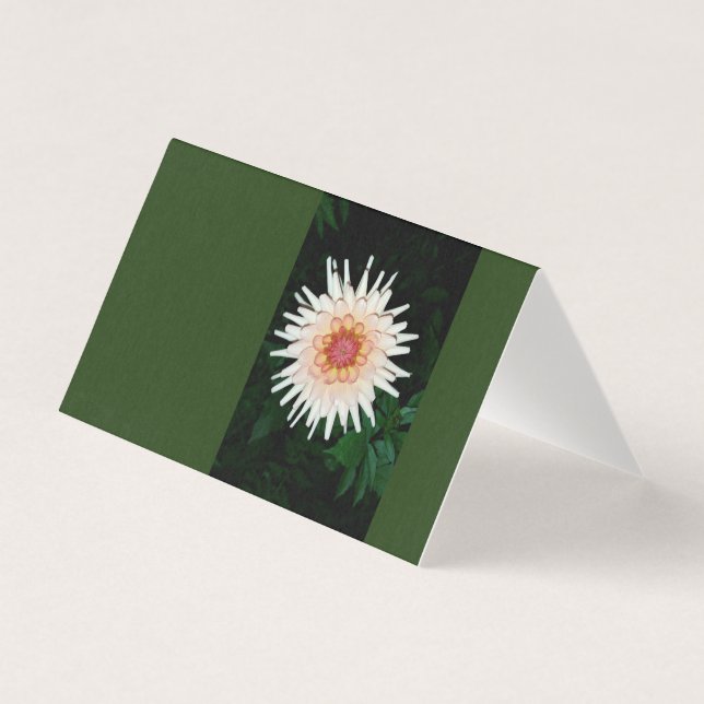 Blume in einer coolen Nacht (Vorderseite)