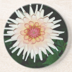 Blume in einer coolen Nacht Untersetzer