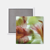Blume in Eis Magnet (Vorderseite/Rückseite)