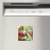 Blume in Eis Magnet (In Situ (Geschirrspüler))