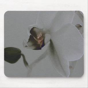 Blume in Grau Mousepad