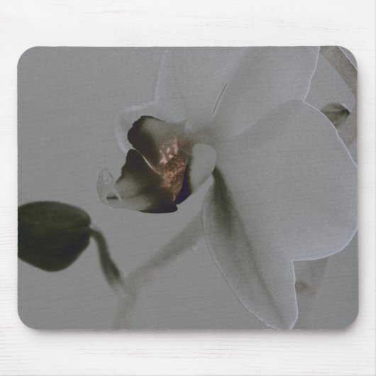 Blume in Grau Mousepad (Vorne)