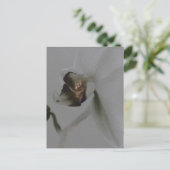 Blume in Grau Postkarte (Stehend Vorderseite)