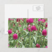 Blume in Heiß-Rosa Postkarte (Vorne/Hinten)