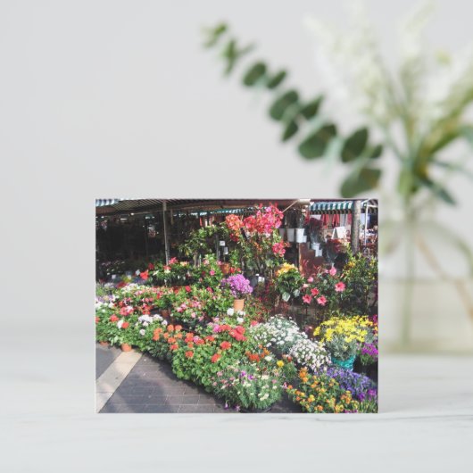 Blume in Nizza in Frankreich Postkarte (Stehend Vorderseite)