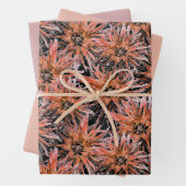 Blume in Orange und Braun. Geschenkpapier Set (Beispiel)
