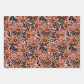 Blume in Orange und Braun. Geschenkpapier Set (Vorderseite)