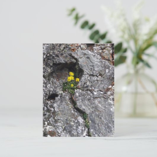 Blume in Rock Postkarte (Stehend Vorderseite)