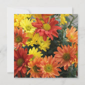 Blume in Rot, Gelb, Orange und Apfelsinen Einladung (Rückseite)