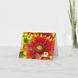Blume in rot und gelb danke