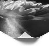 Blume in Schwarz und Weiß 8x8 Fotodruck (Ecke)