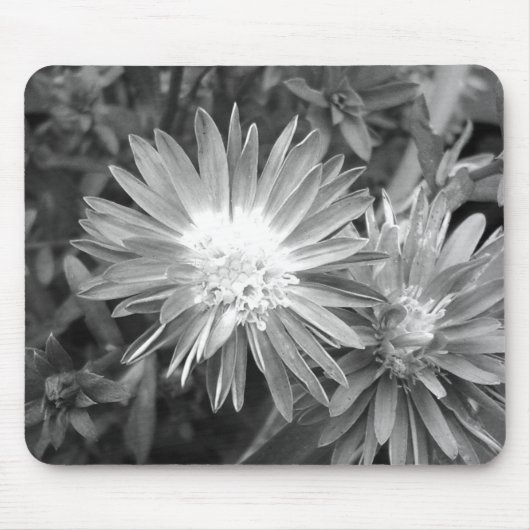 Blume in Schwarz und Weiß Mousepad (Vorne)