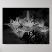 Blume in Schwarz und Weiß Poster (Vorne)