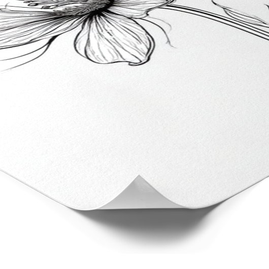 Blume in Schwarz und Weiß Zeichnend Poster (Ecke)