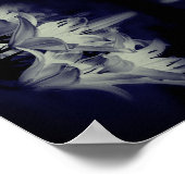 Blume in Schwarz-Weiß-Abstrakt Poster (Ecke)