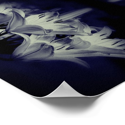 Blume in Schwarz-Weiß-Abstrakt Poster (Ecke)