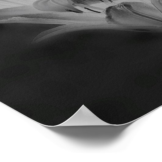 Blume in Schwarz-Weiß-Spiegeln Abstrakt Poster (Ecke)