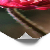 Blume in Sun Inner Peace Zitat Inspiration Poster (Ecke)