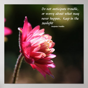 Blume in Sun Inner Peace Zitat Inspiration Poster