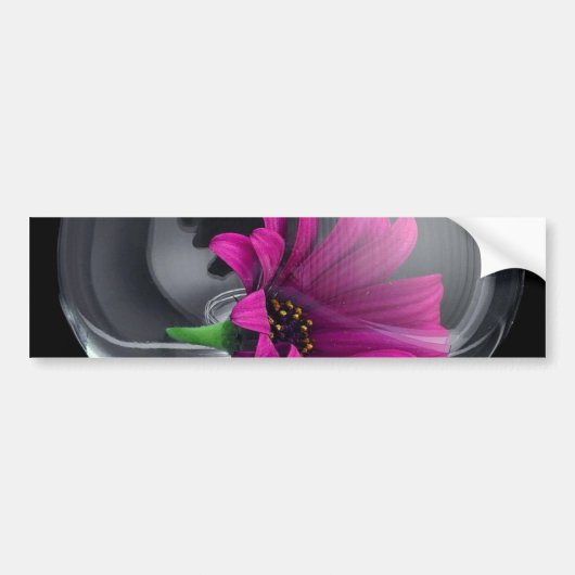Blume in Vase Autoaufkleber (Vorne)
