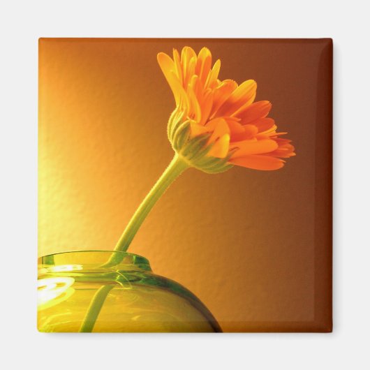Blume in Vase Magnet (Vorne)