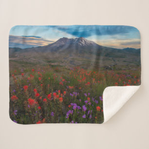 Blume Indian Paintbrush & Penstemon Sherpadecke
