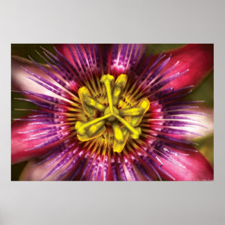 Blume - intensive Leidenschaft Poster