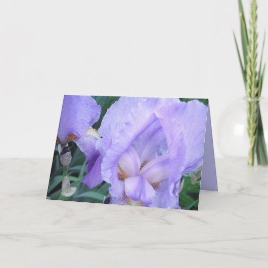 Blume - Iris Karte (Vorderseite)