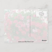 Blume Ivy Geranium (Pelargonium Peltatum) Postkarte (Rückseite)