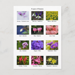 Blume Jahr Postkarte