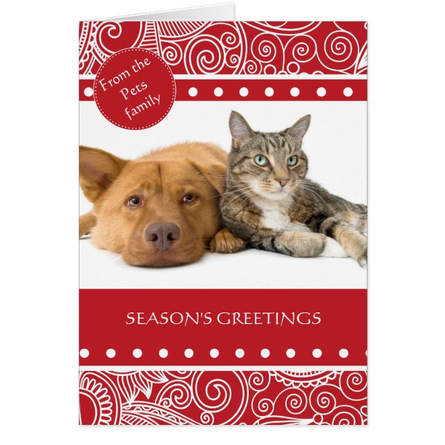 Blume Jungle Saison Grüße (Vorne)