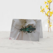 Blume Käfer Grußkarte Karte (Gelbe Blume)