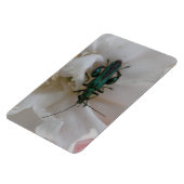 Blume Käfer Premium Magnet (Linke Seite)