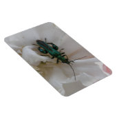 Blume Käfer Premium Magnet (Rechte Seite)