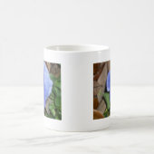 Blume Kaffeetasse (Mittel)