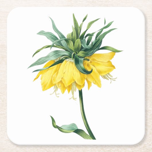 Blume: Kaiserkrone A002 - Rechteckiger Pappuntersetzer (Vorderseite)