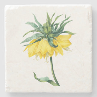 Blume: Kaiserkrone A002 - Steinuntersetzer