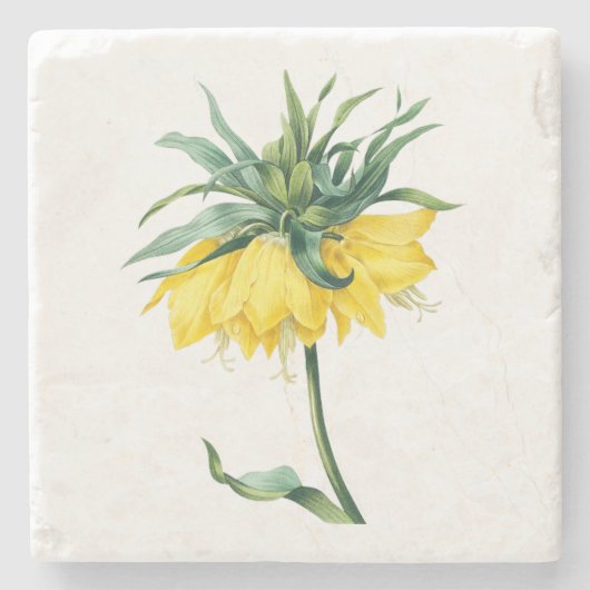 Blume: Kaiserkrone A002 - Steinuntersetzer (Vorderseite)
